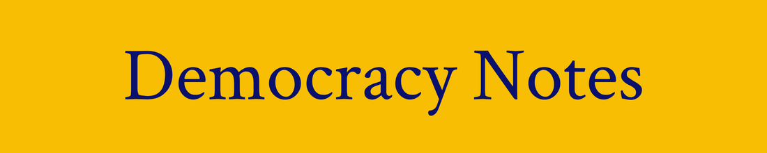 Democracy Notes logo — opens the Democracy Notes Substack